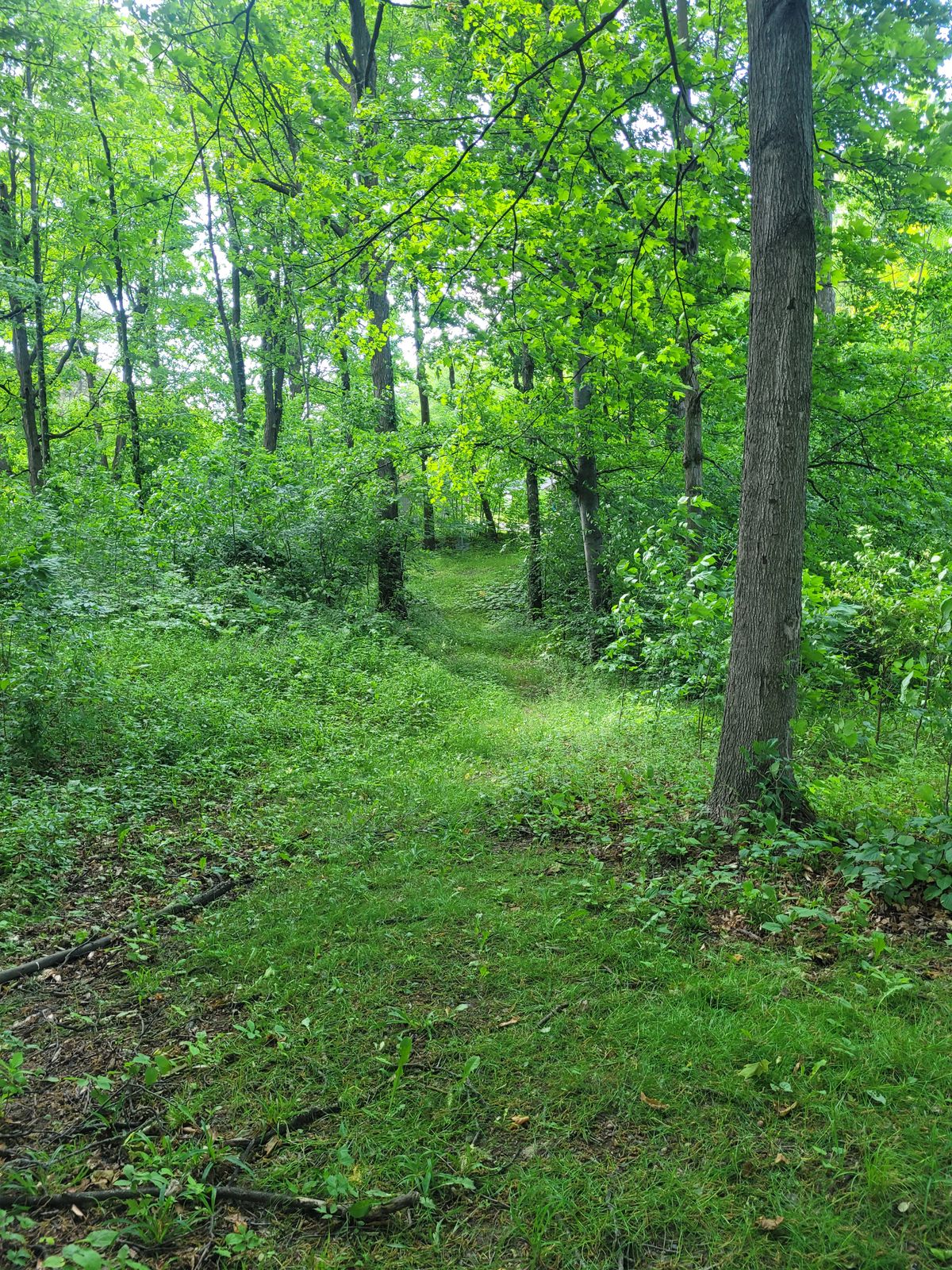 Hole 9