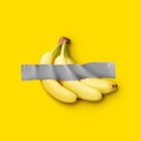 nofrills