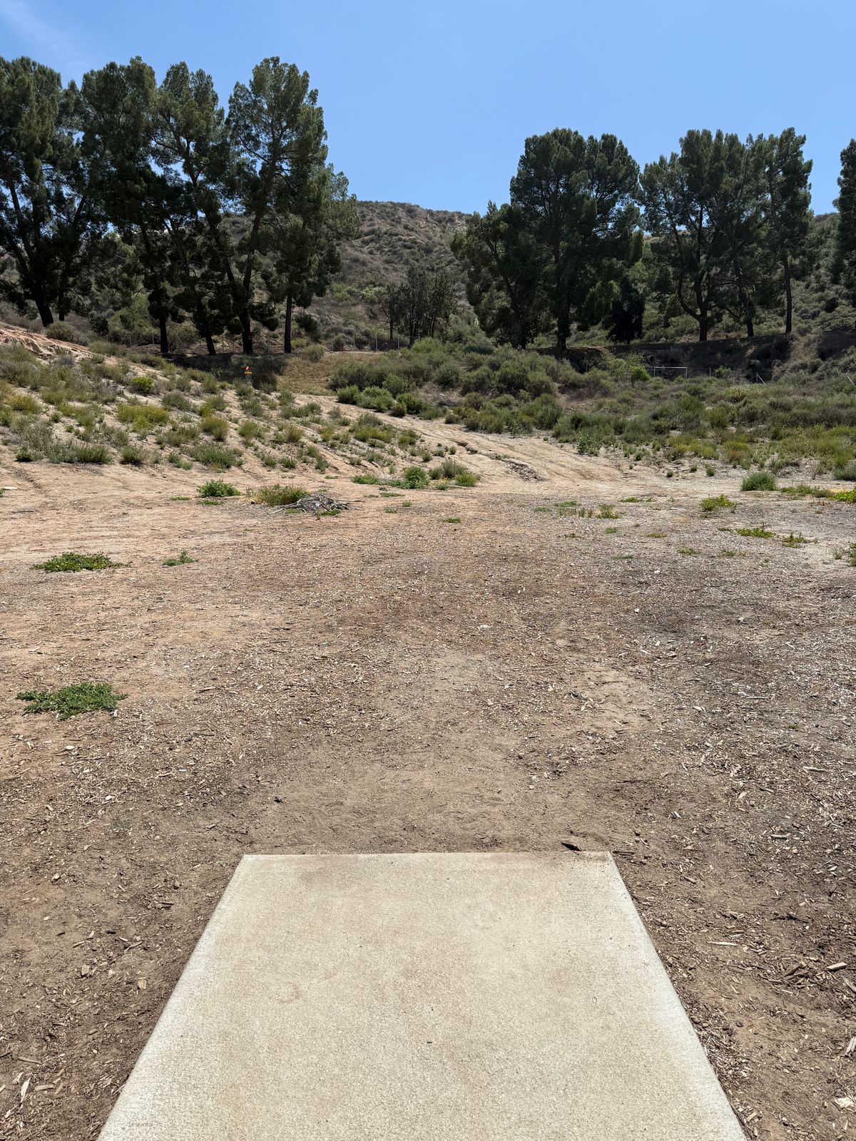 Hole 7 tee