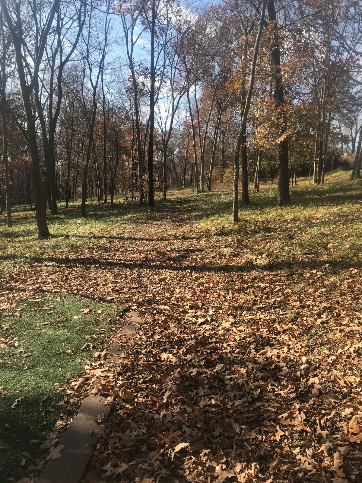 Hole 8 from tee.