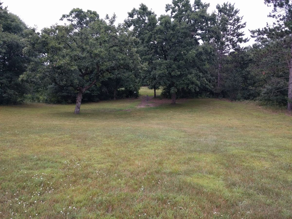 Hole 17 Basket location (old hole 8)