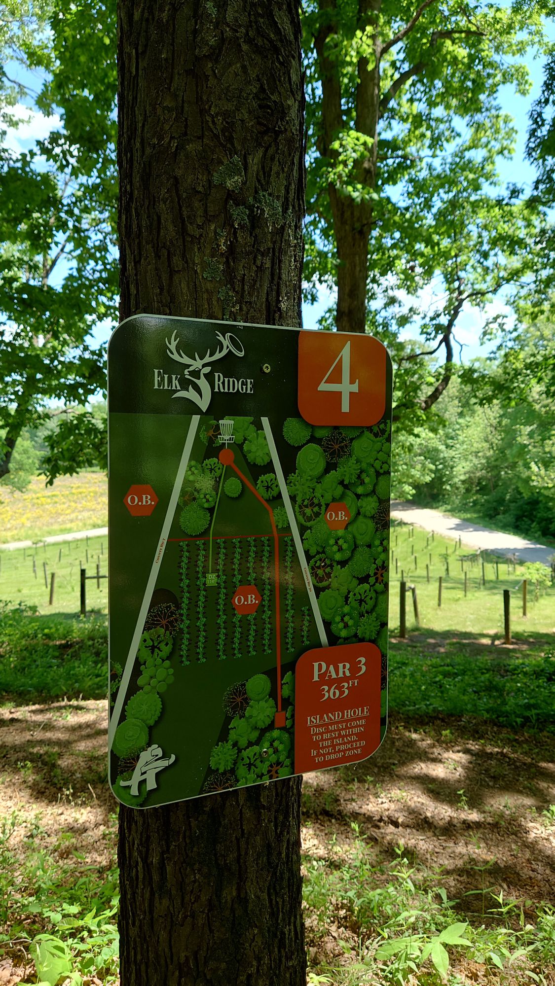Hole 4 tee sign.