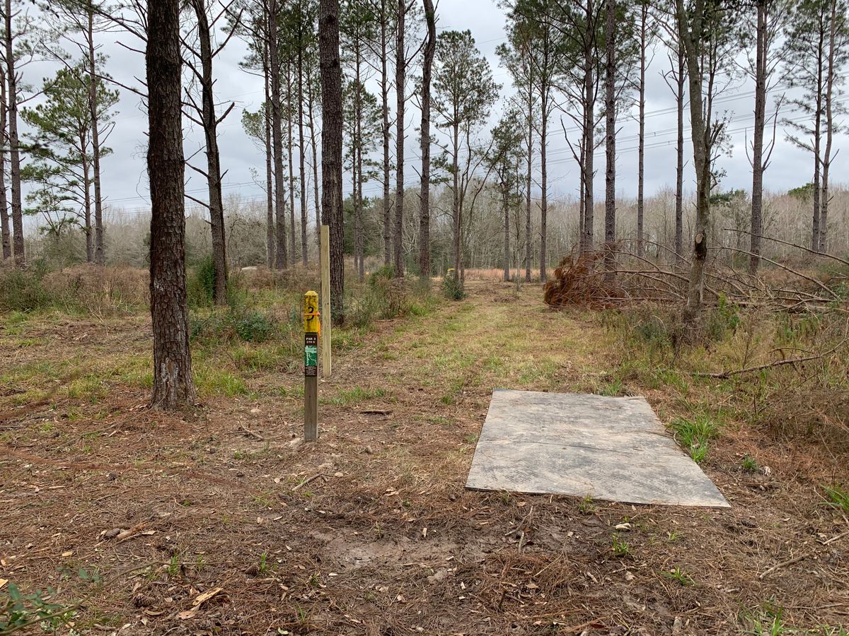 Hole 3 Fairway
