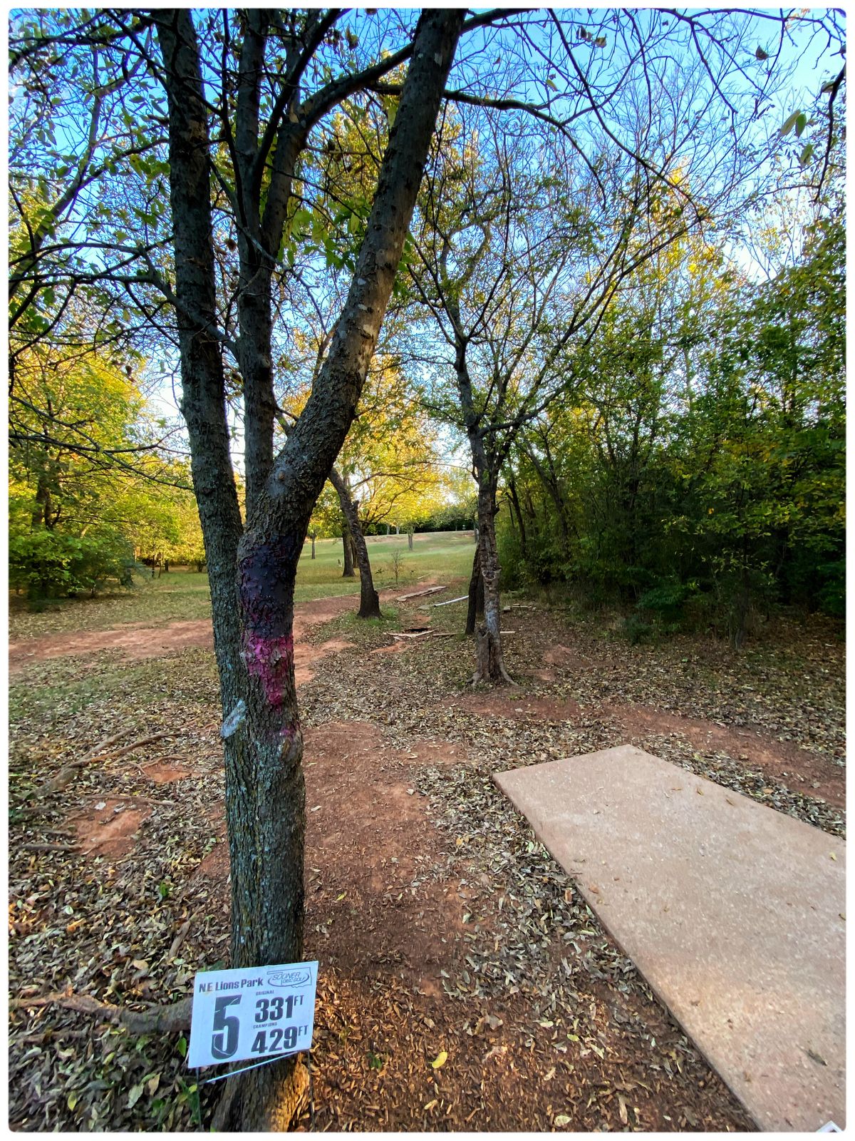 #5 Main Tee Throwing north