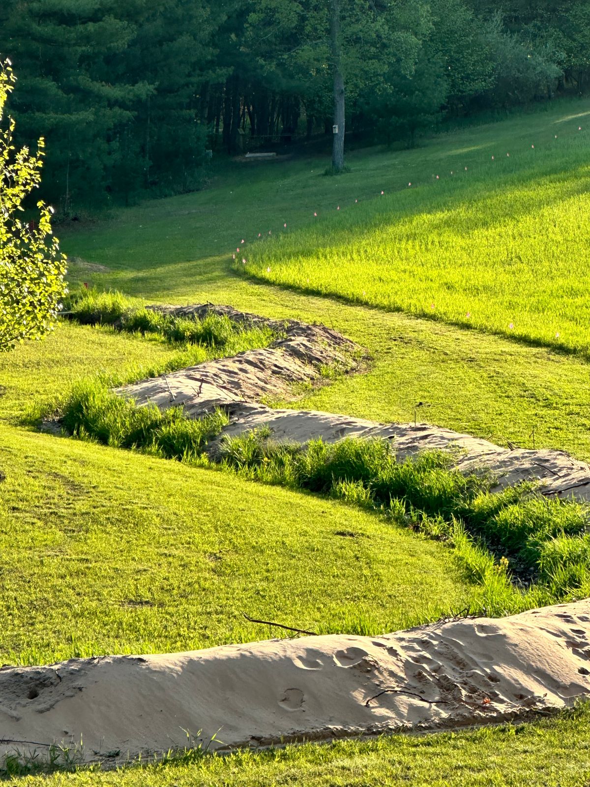 Looking back at hole 4’s tee pad