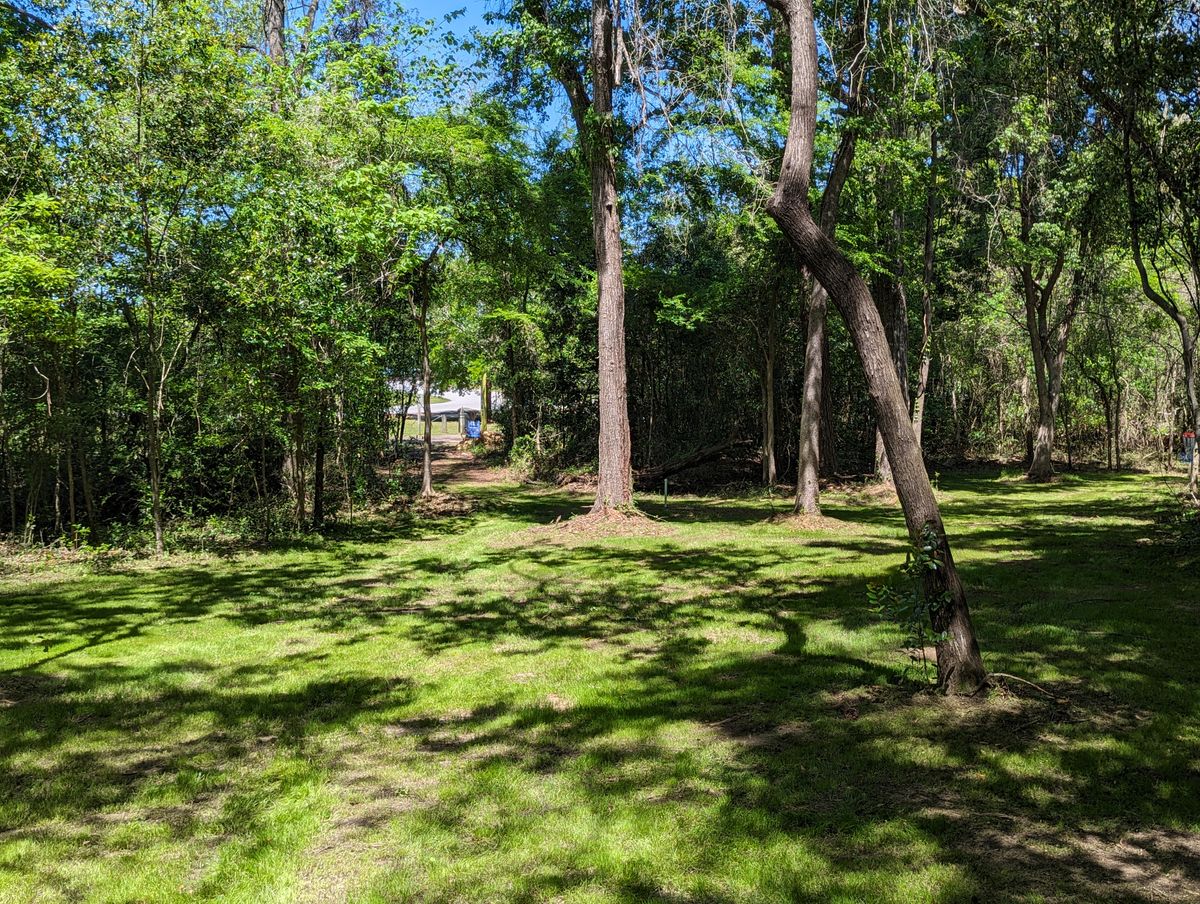 Hole 18 Greens