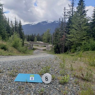 Hole 8 white tee.