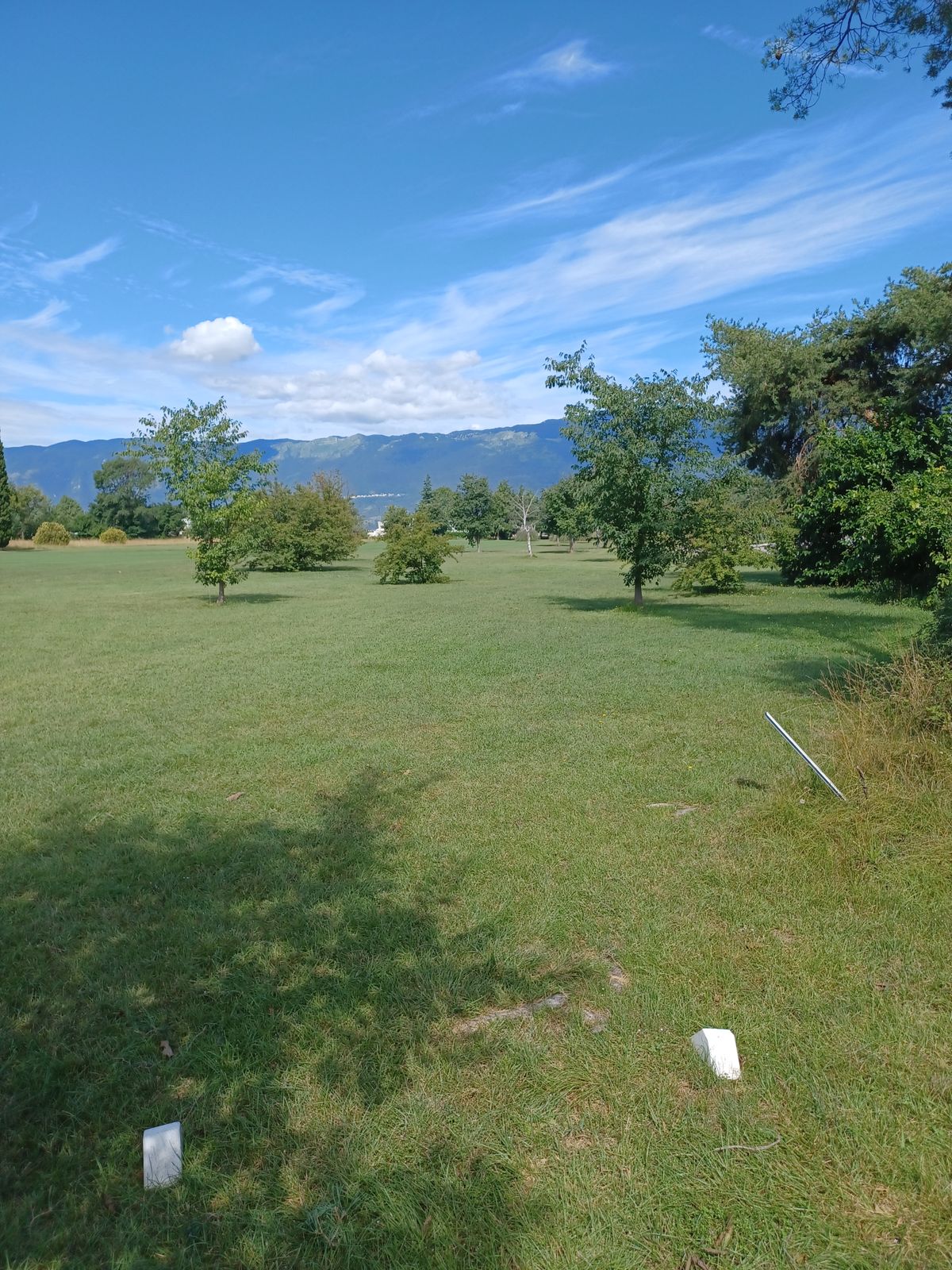 Hole 6