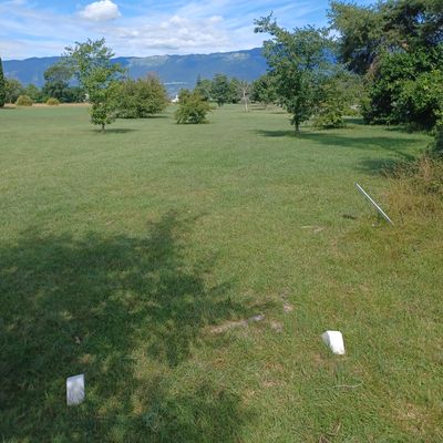 Hole 6
