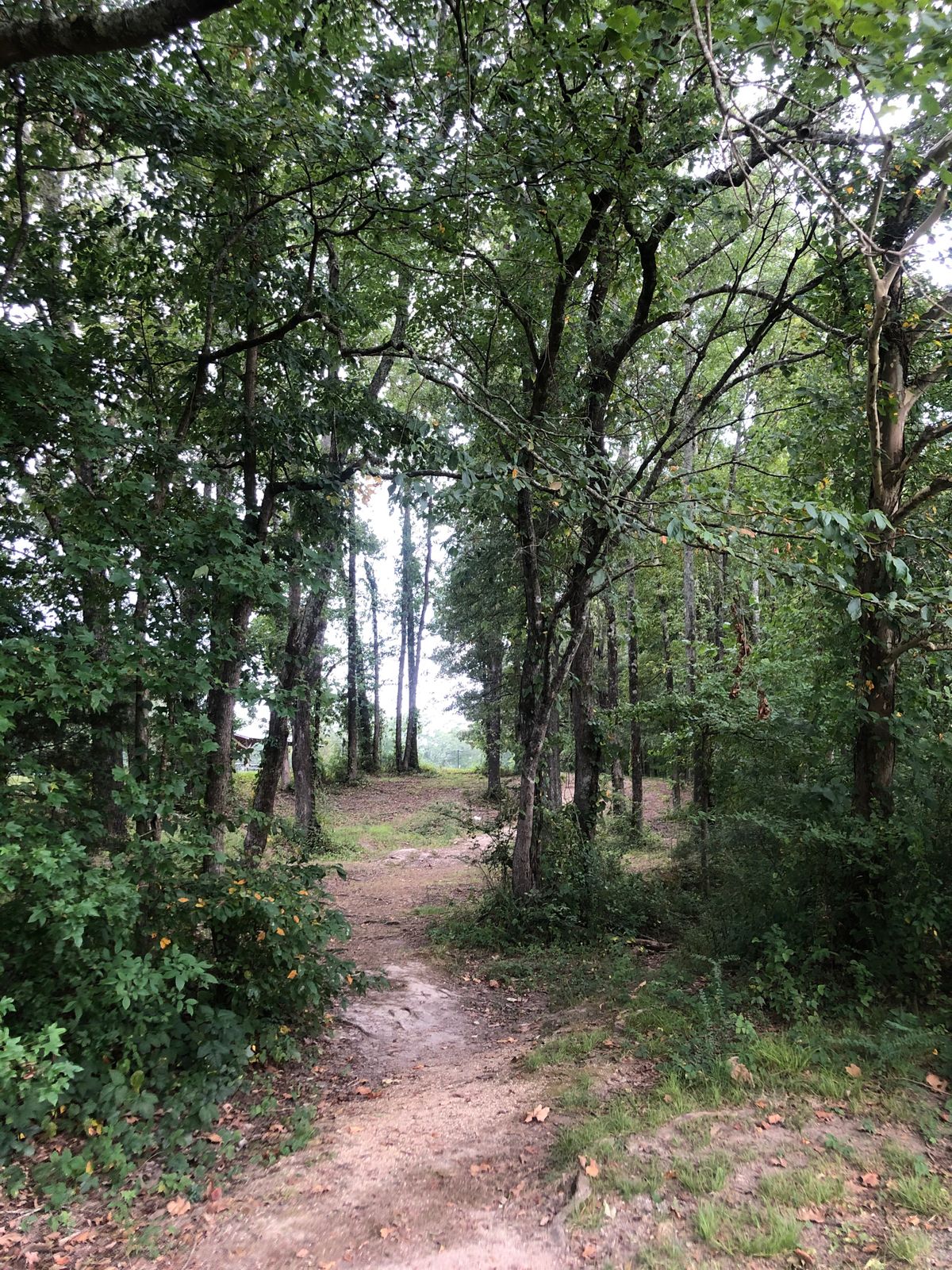 Hole 7