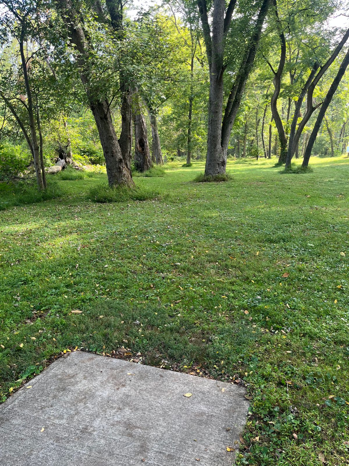 Hole 3