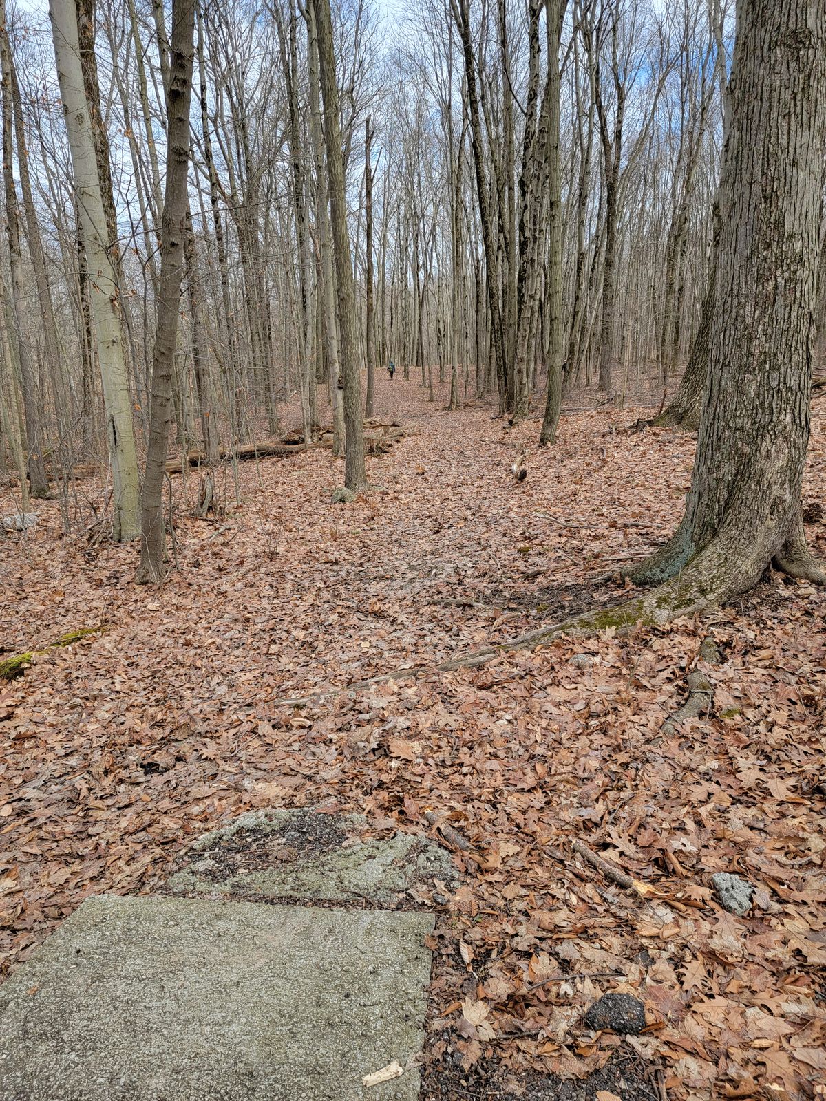 Hole 15 Tee