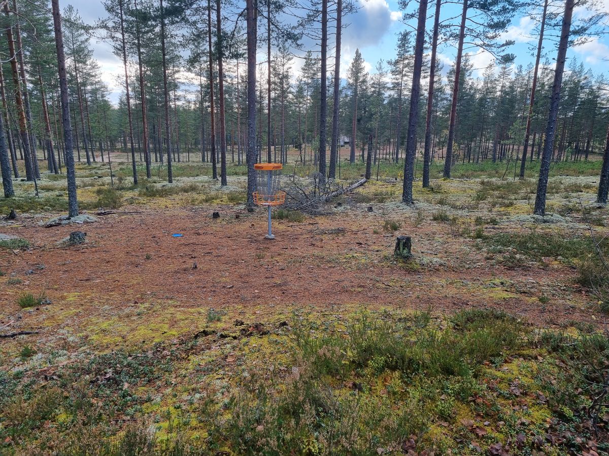 Korinäkymä