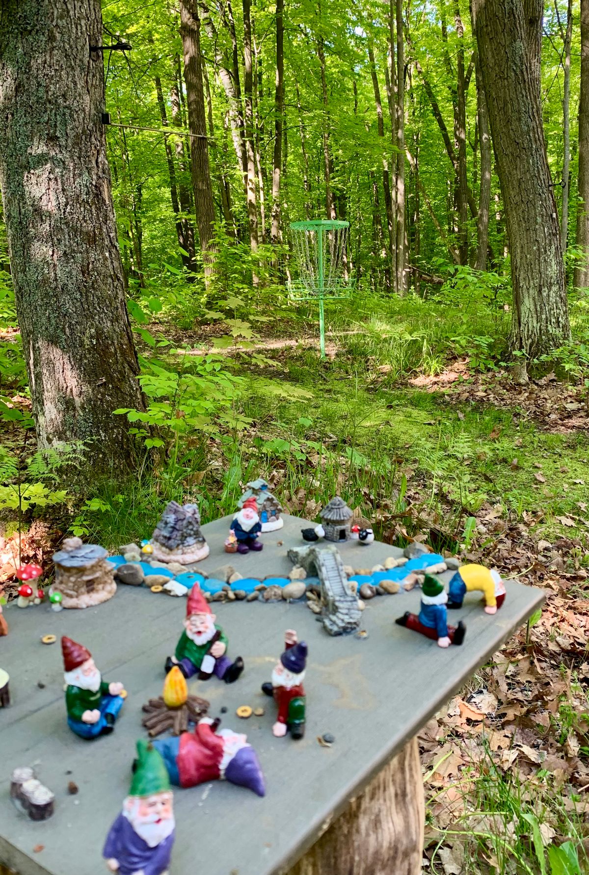 Gnomes are watching!