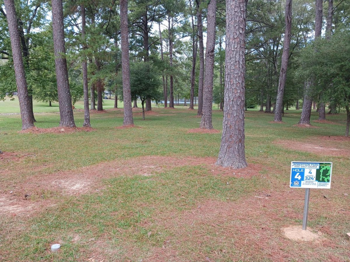Hole 4