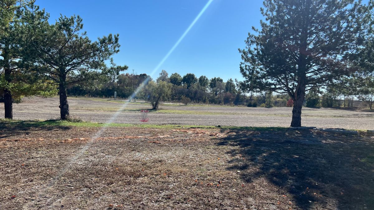 Hole 5 basket