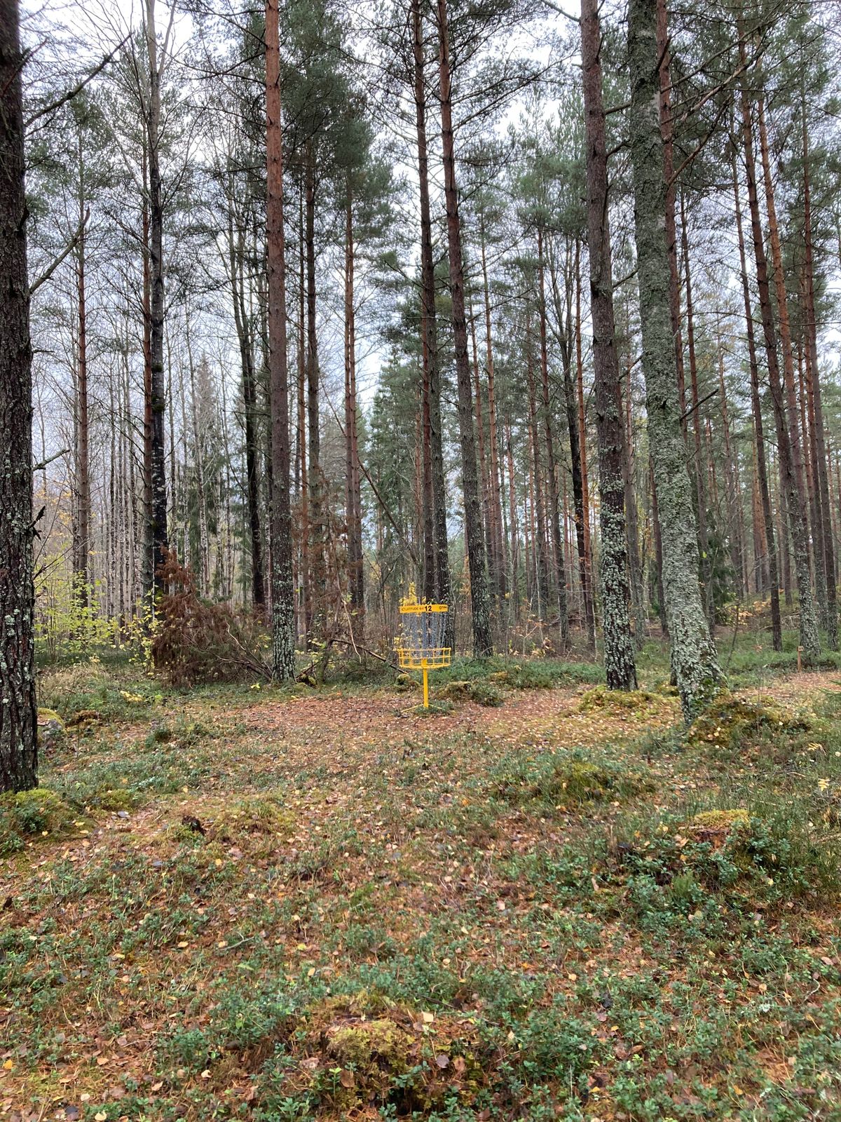 Korg hål 12 i höstskrud