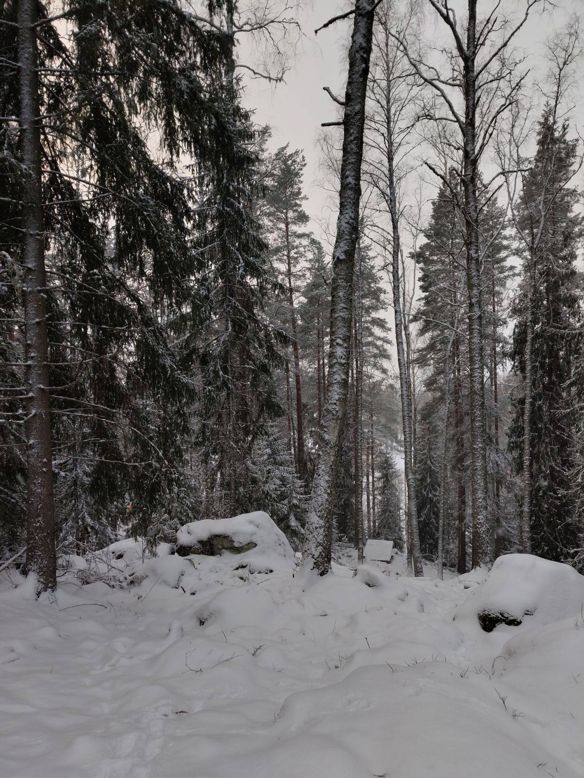 2 väylä korilta tiille