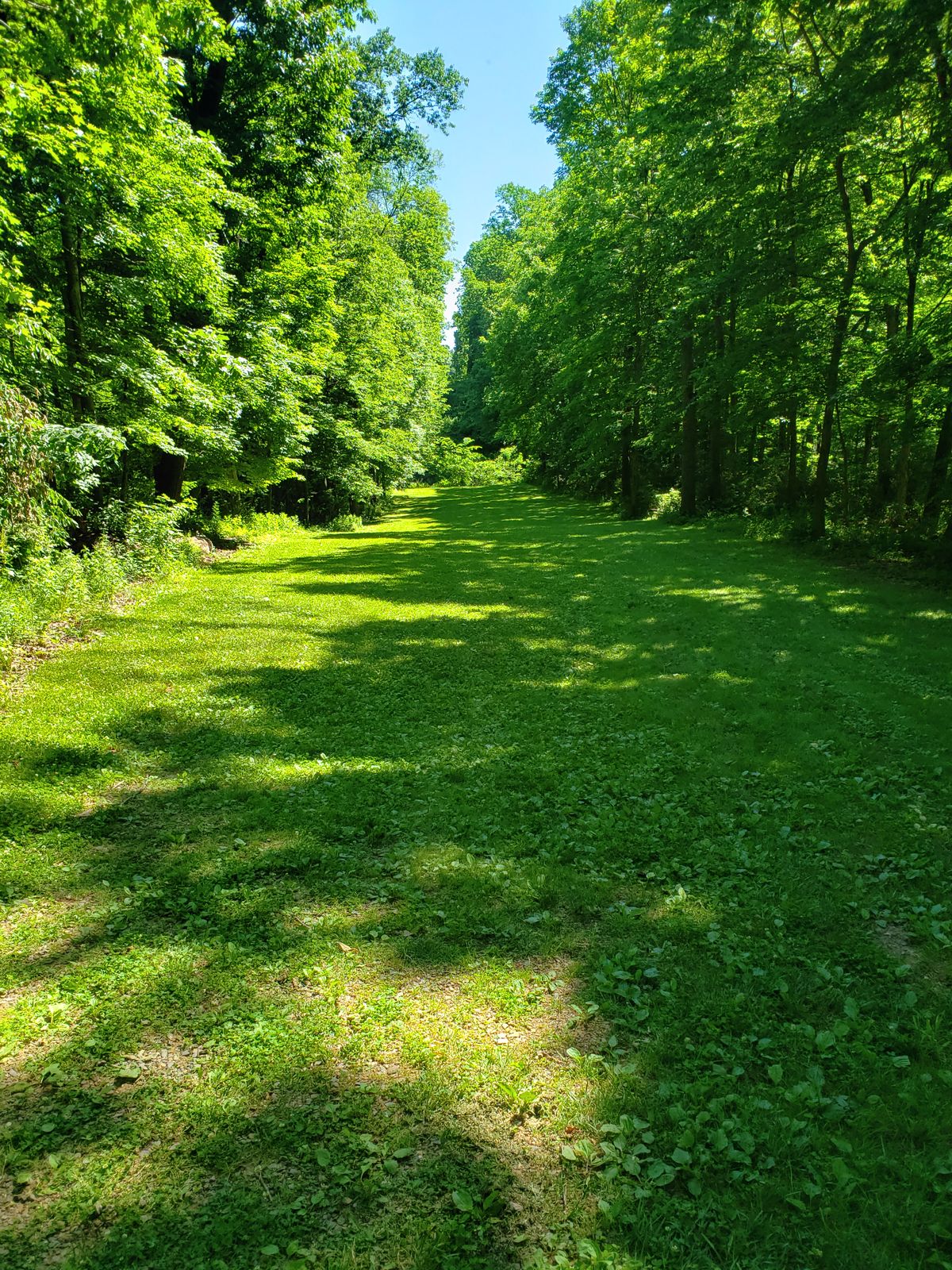 Hole 13