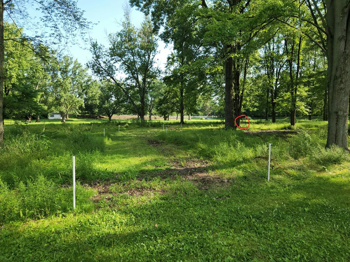 View of fairway to basket on hole 2