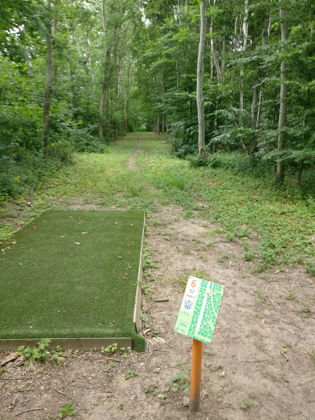 Hole 6