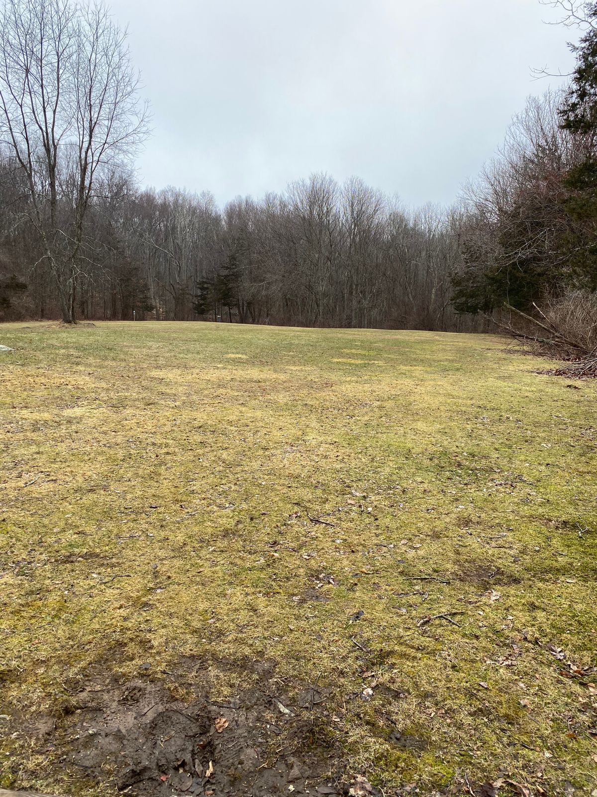 Hole 5 tee