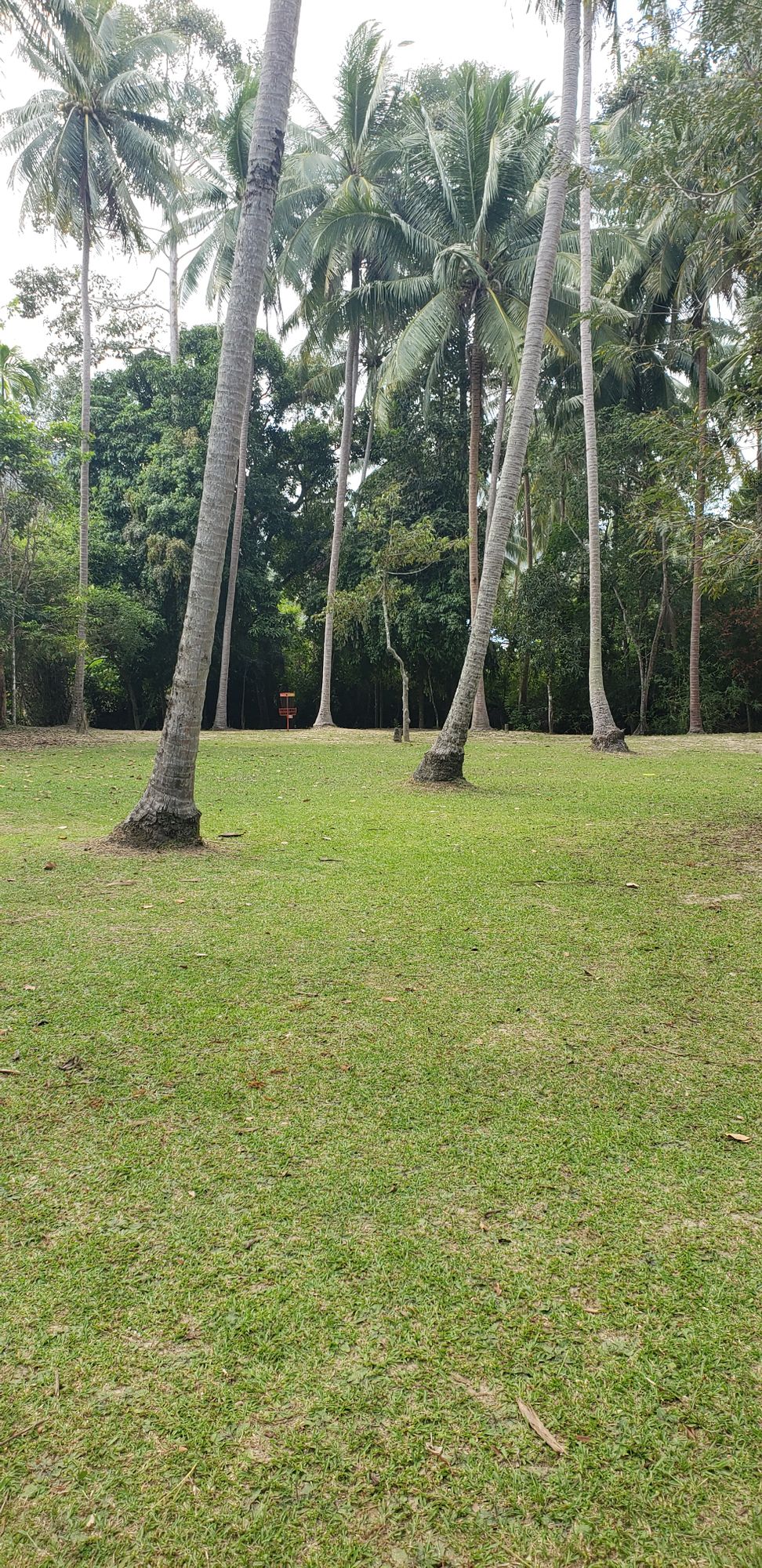 Hole 8 view from teepad