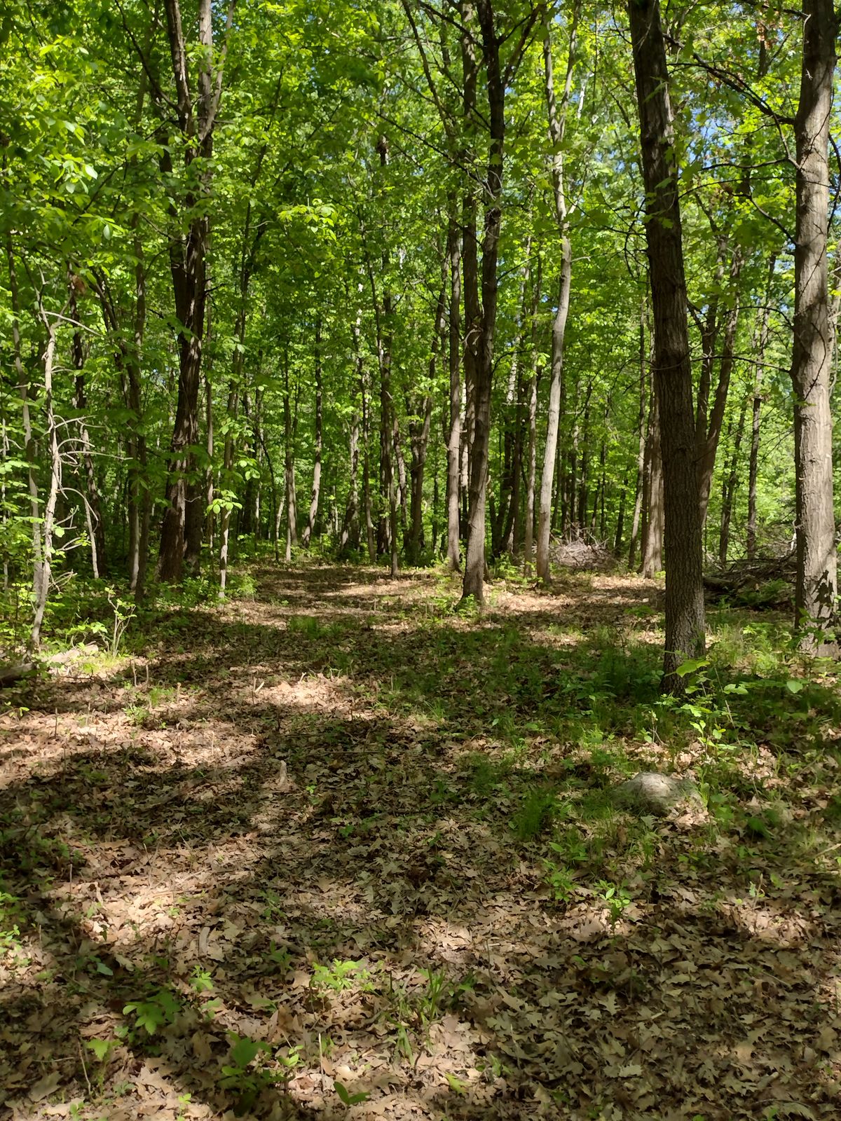Left hand approach hole 12