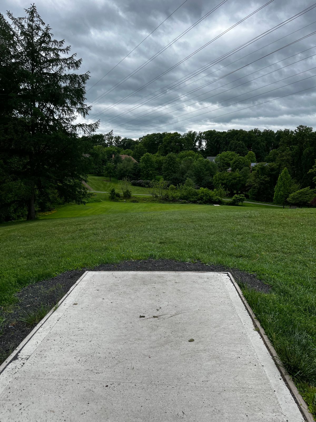 Hole 12 tee