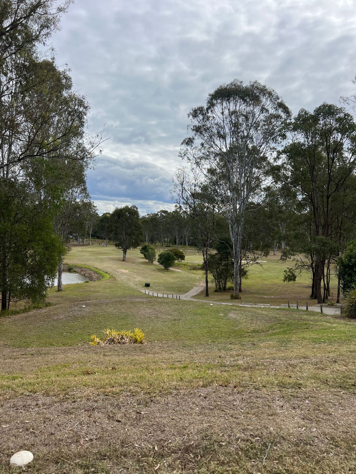 Hole 4 tee pad