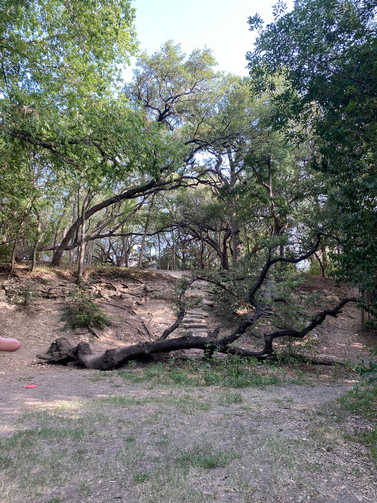 Hole 5