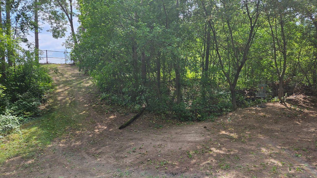 Hole 6. Only 99', but there's no direct line to the pin. Everyone else is getting a birdie . . . How about you?