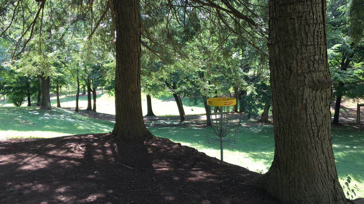 Hole 11