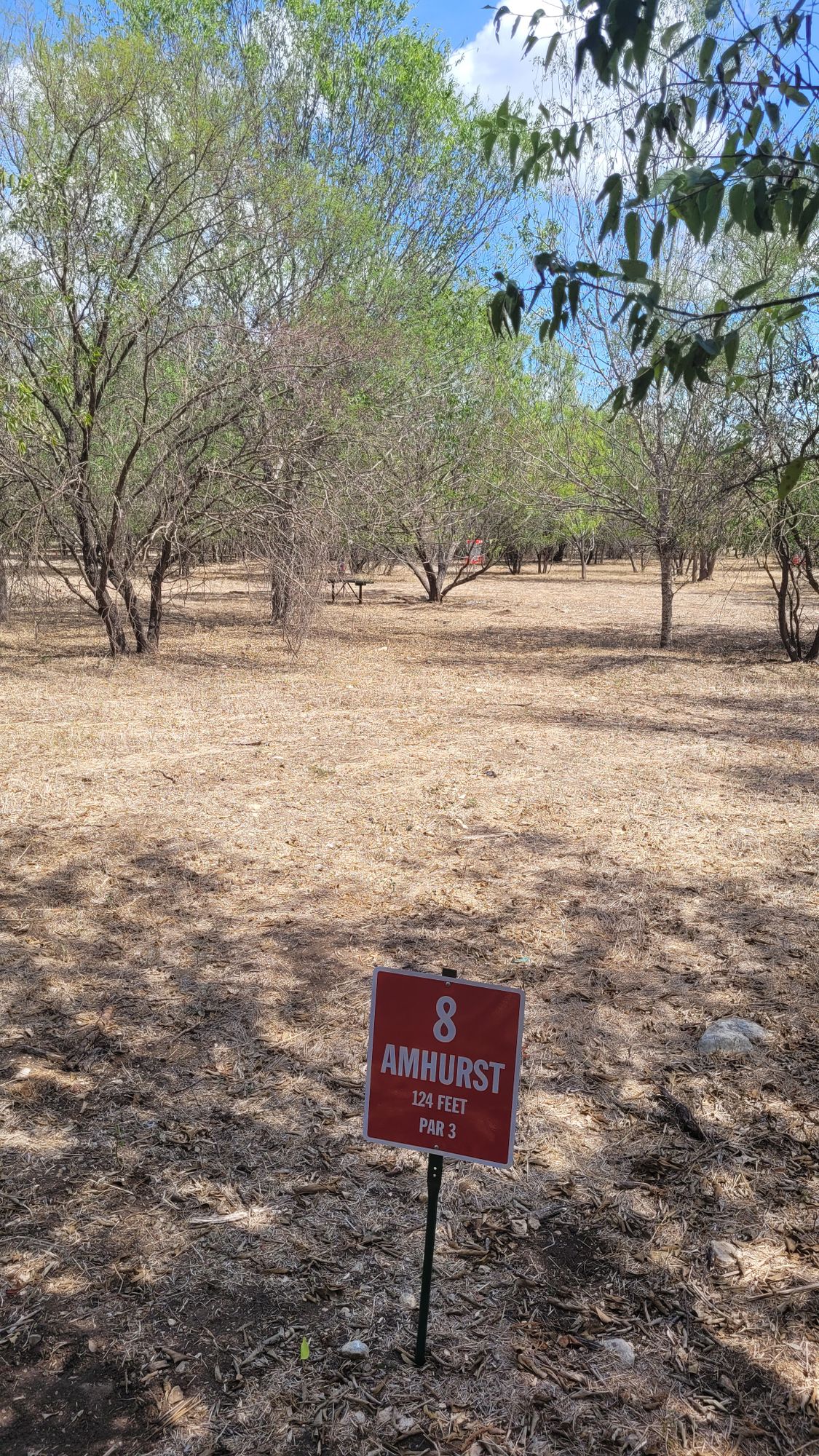 Hole 8