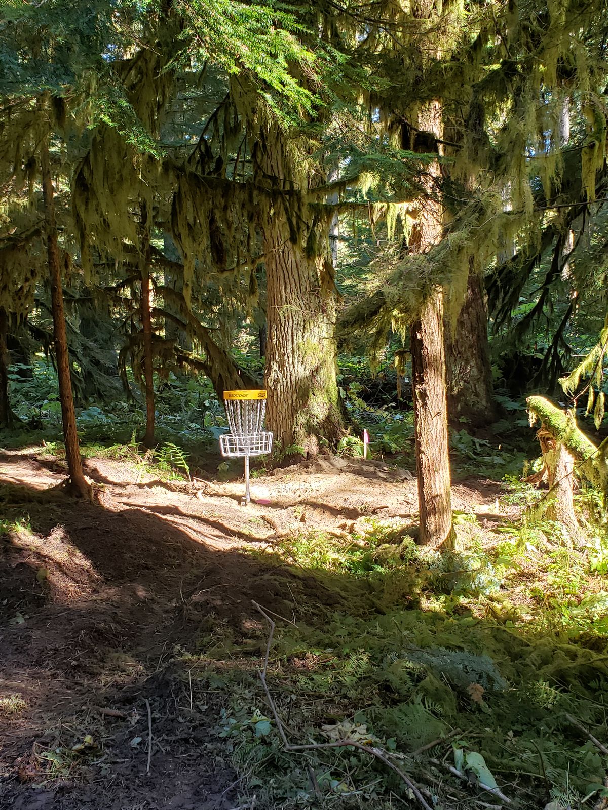 the sun through the trees on the course is amazing.  