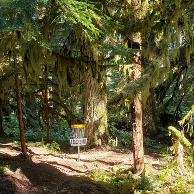 the sun through the trees on the course is amazing.  