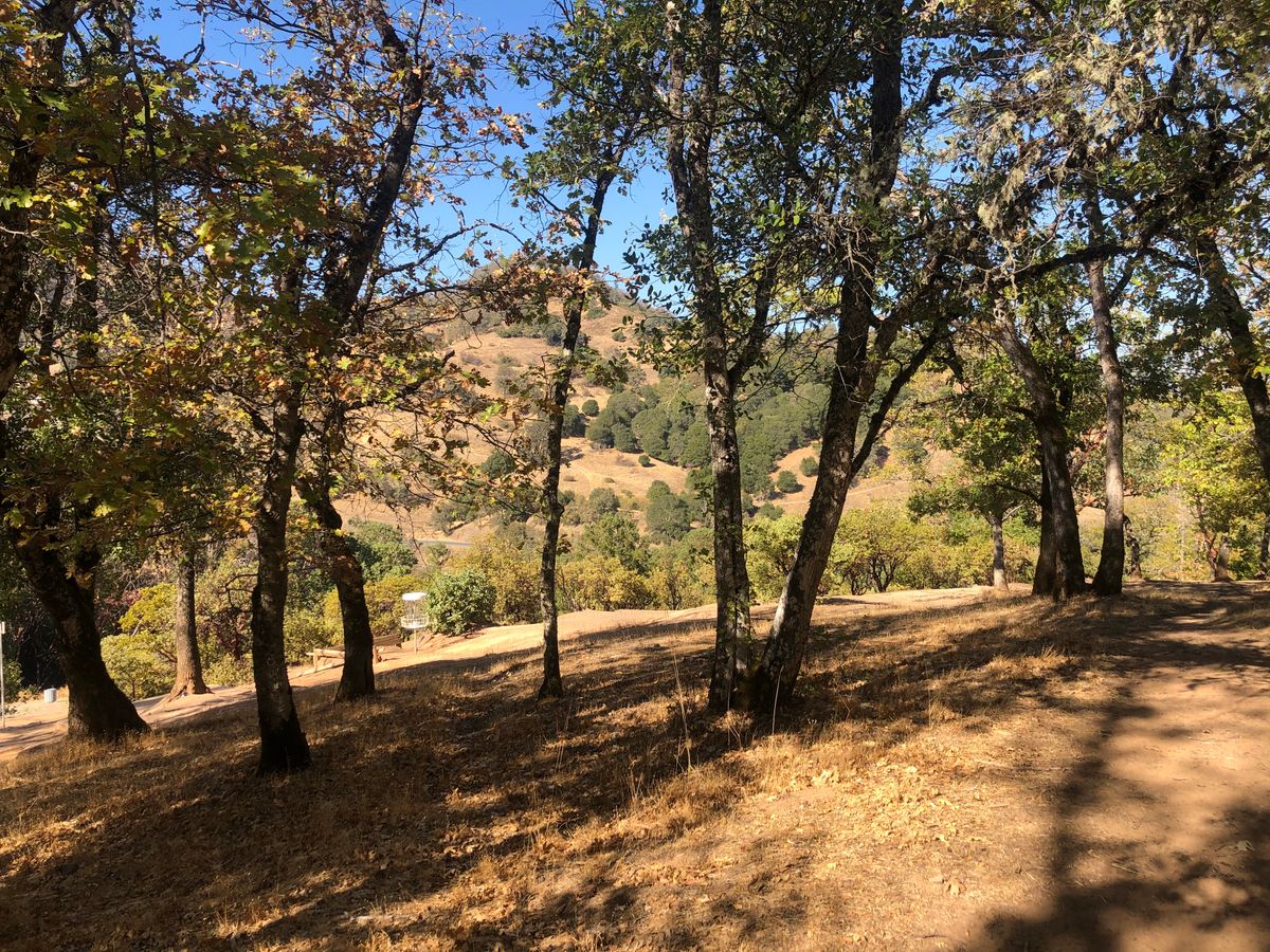 From 10/15/20 fun shots!