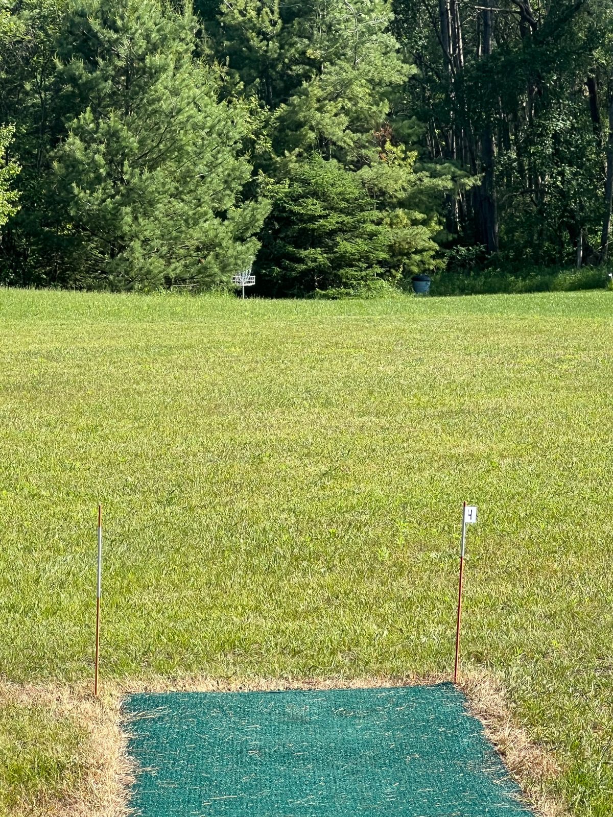 Tee pad 4 - basket just ticked into the trees