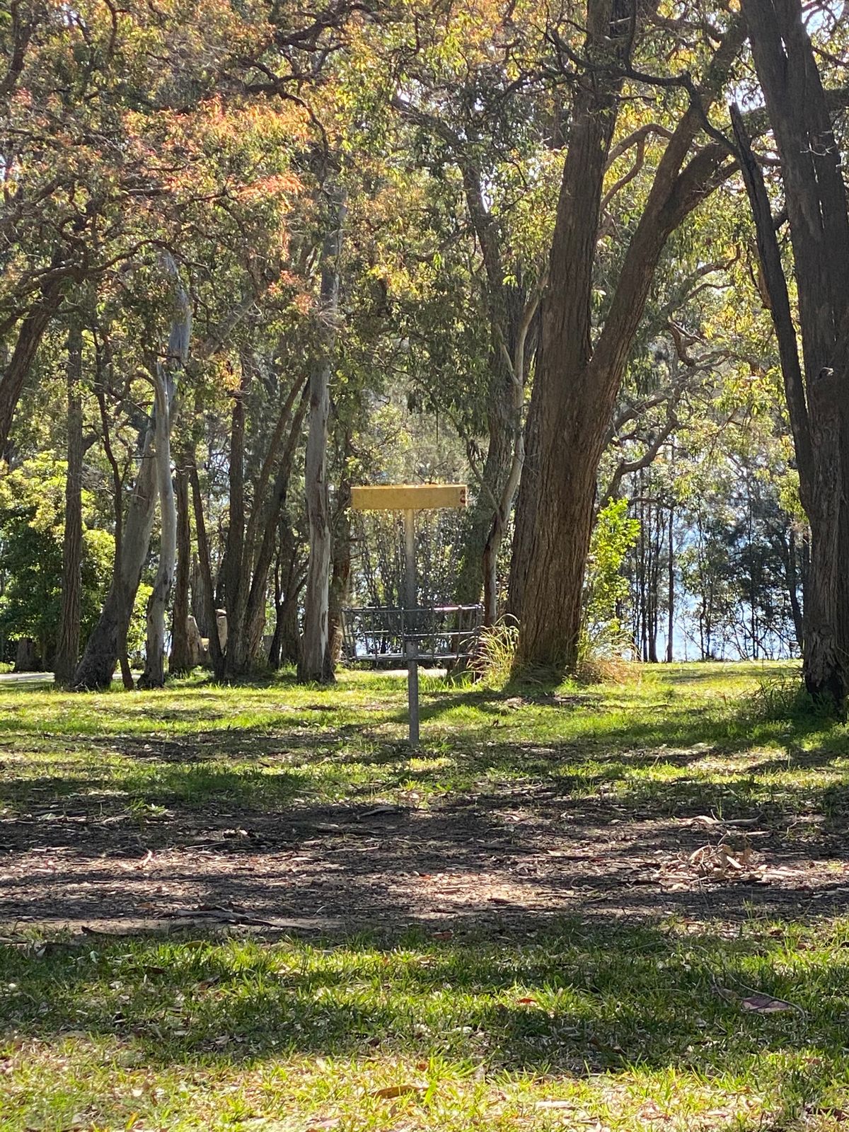 Hole 8