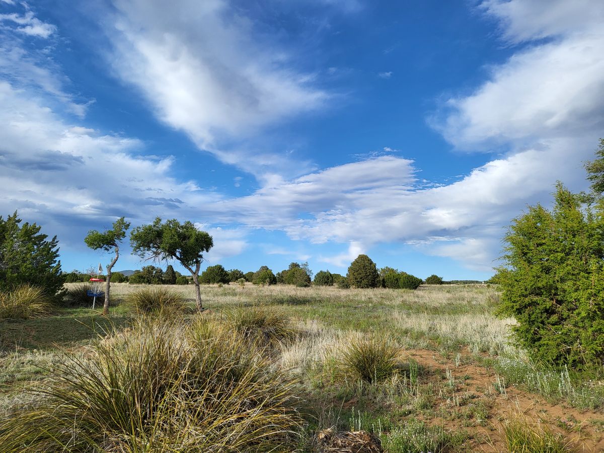 Big Sky Bayard is the prefect setting for this disc golf course. It is stunning out there, if sometimes a little windy.