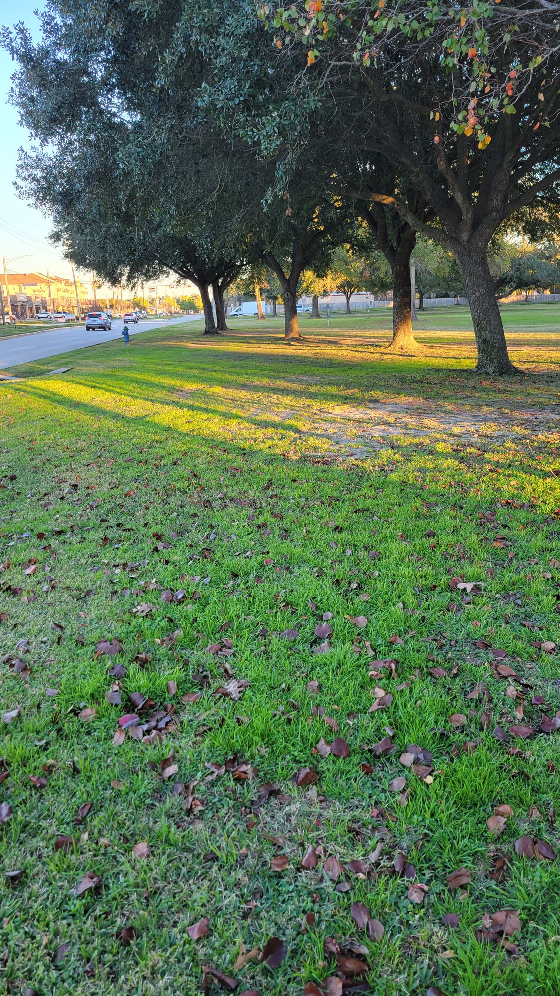 Hole 5