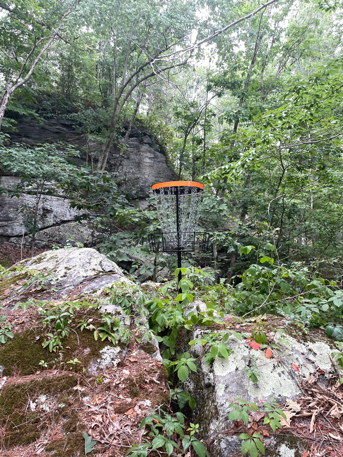 Basket #16 sits atop a boulder behind a rocky crag