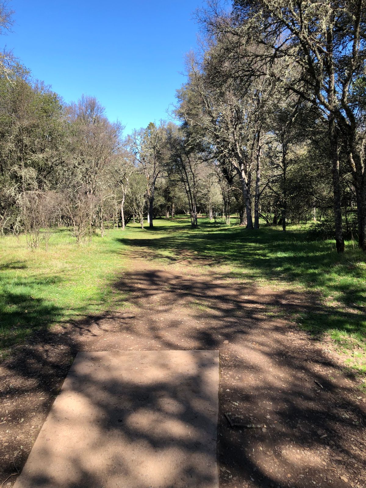 Tee pad 15