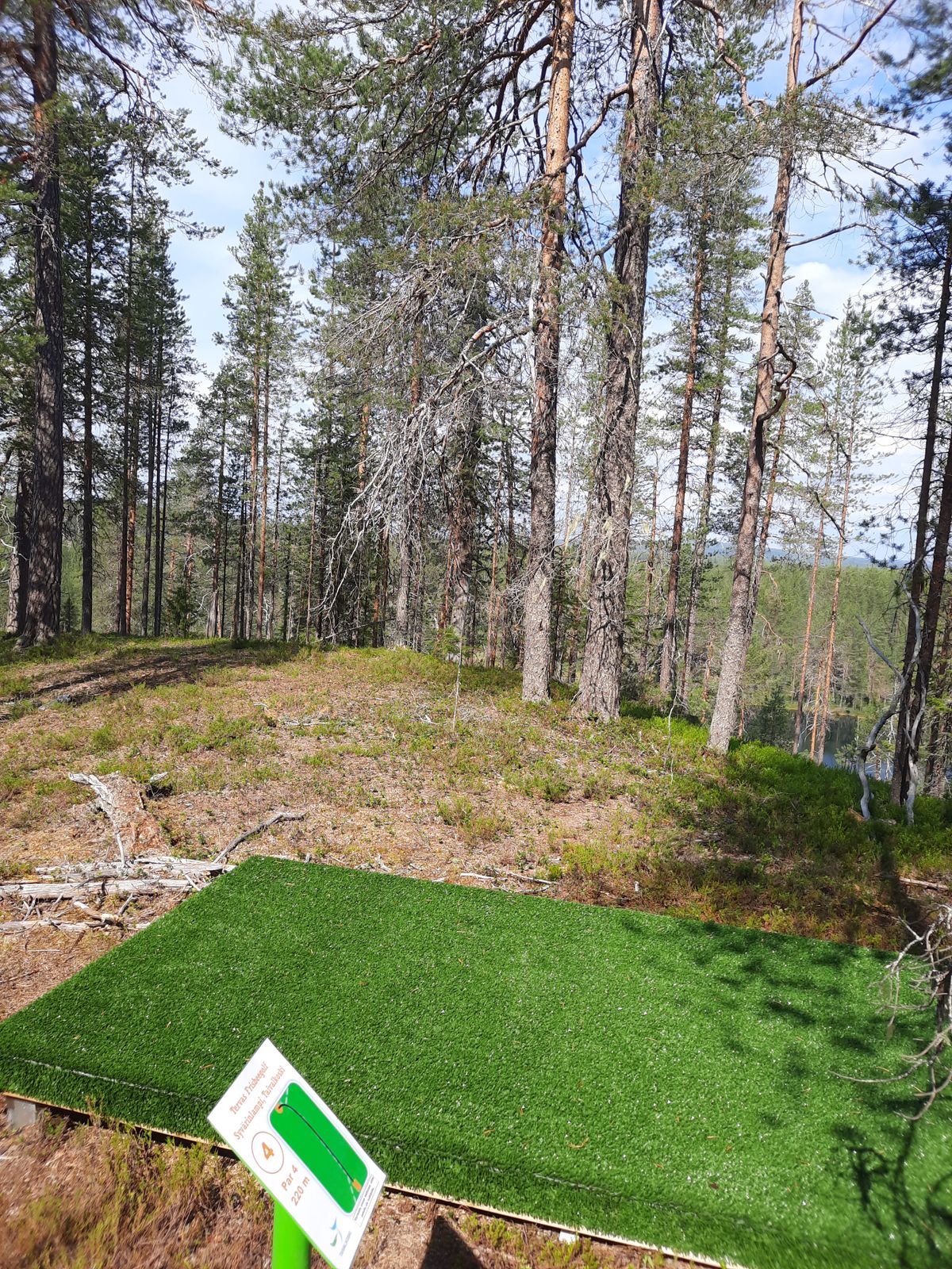 Väylän 4 tii
