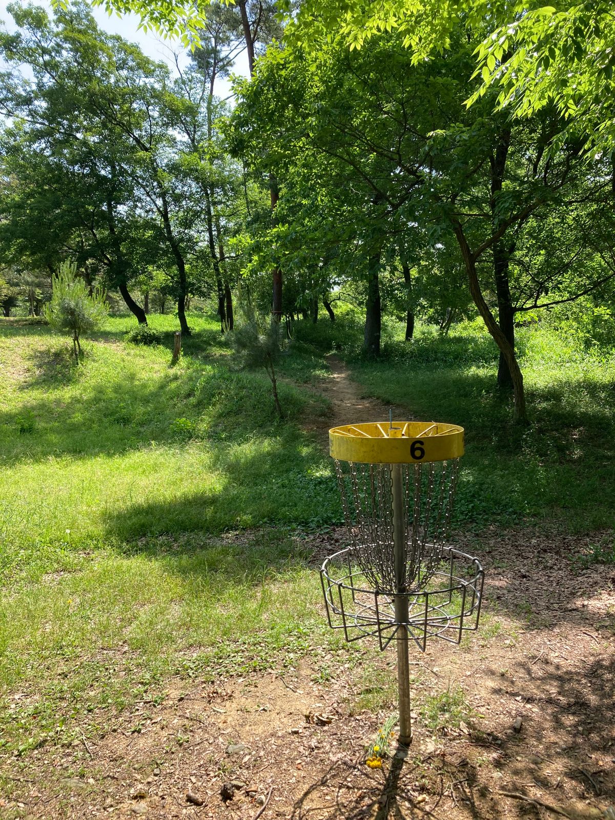 Looking from basket 6 to path to hole 7 tee -- was kind of hard to find