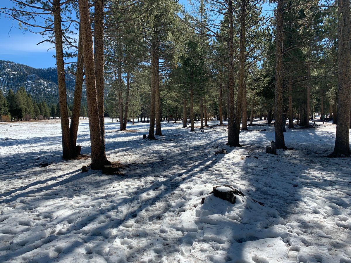 Little snow currently 
But very fun to play