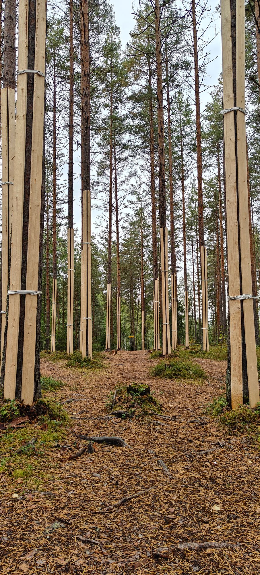 Lyhyt mutta vaikea väylä 15