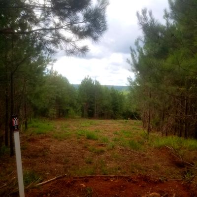 Hole 5 White tee overlooking Yellow River