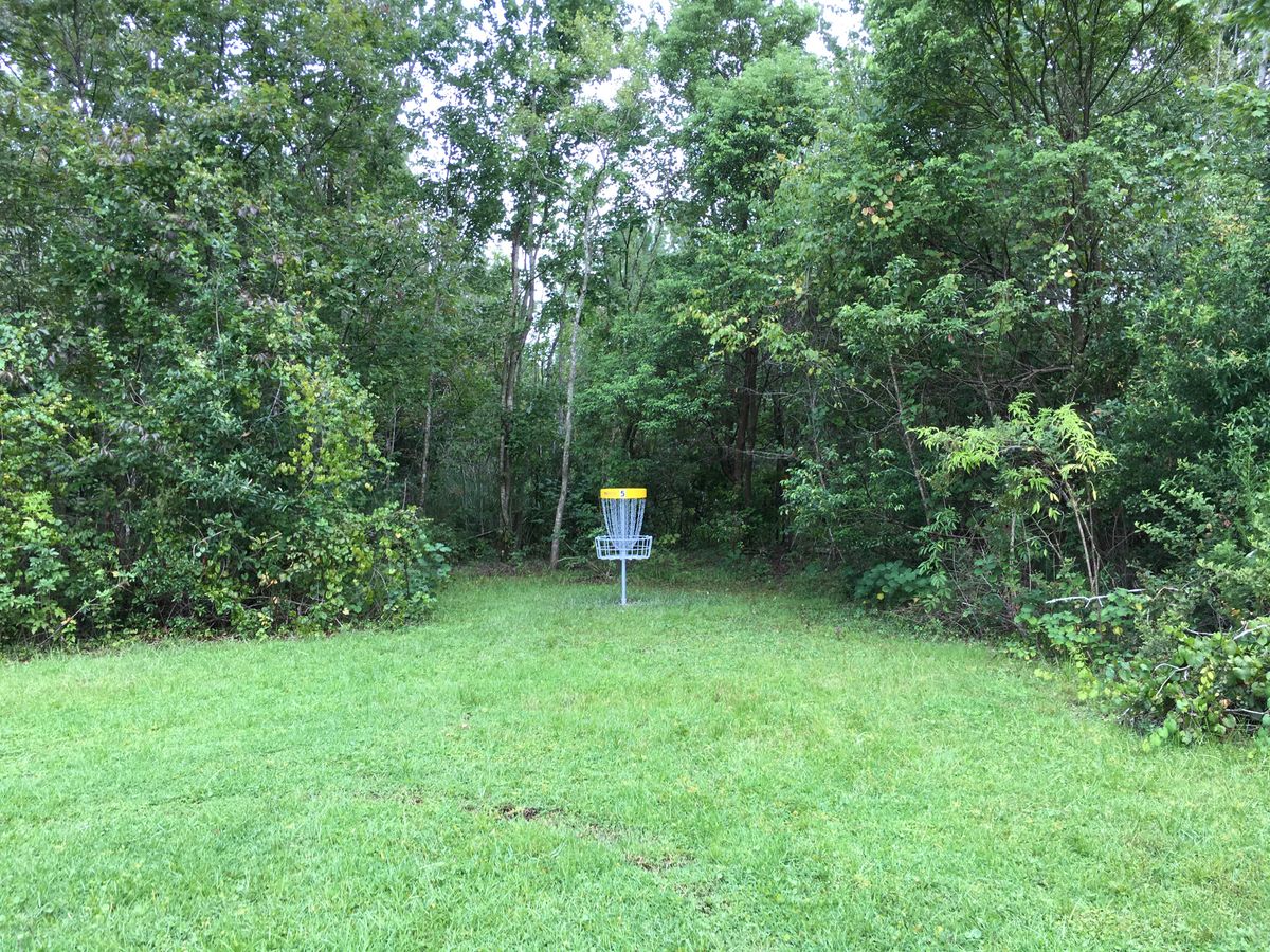 Hole 5 Basket