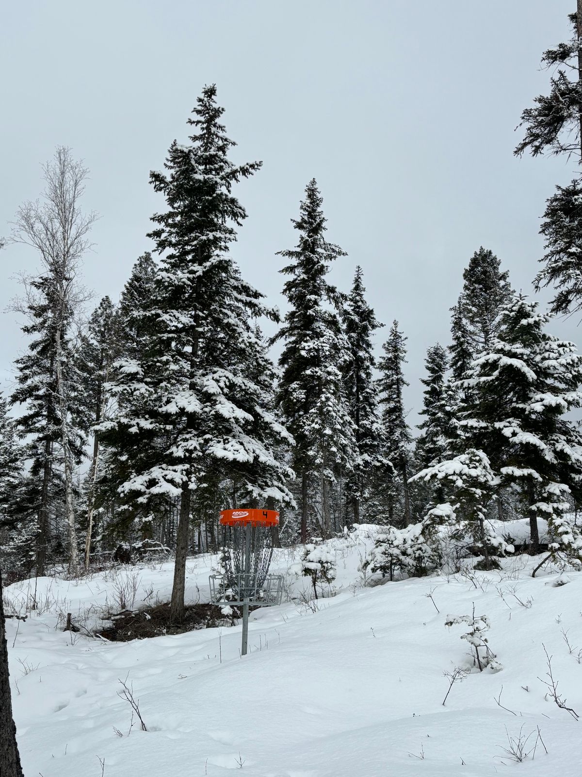 Snowy out there!